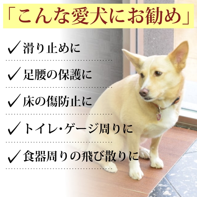 �ϤäƤϤ�����ե����ޥåȡ�45��45cm��12��/36��/60��