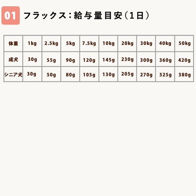 ѡȥХȷˡɥ饤աɾޥå