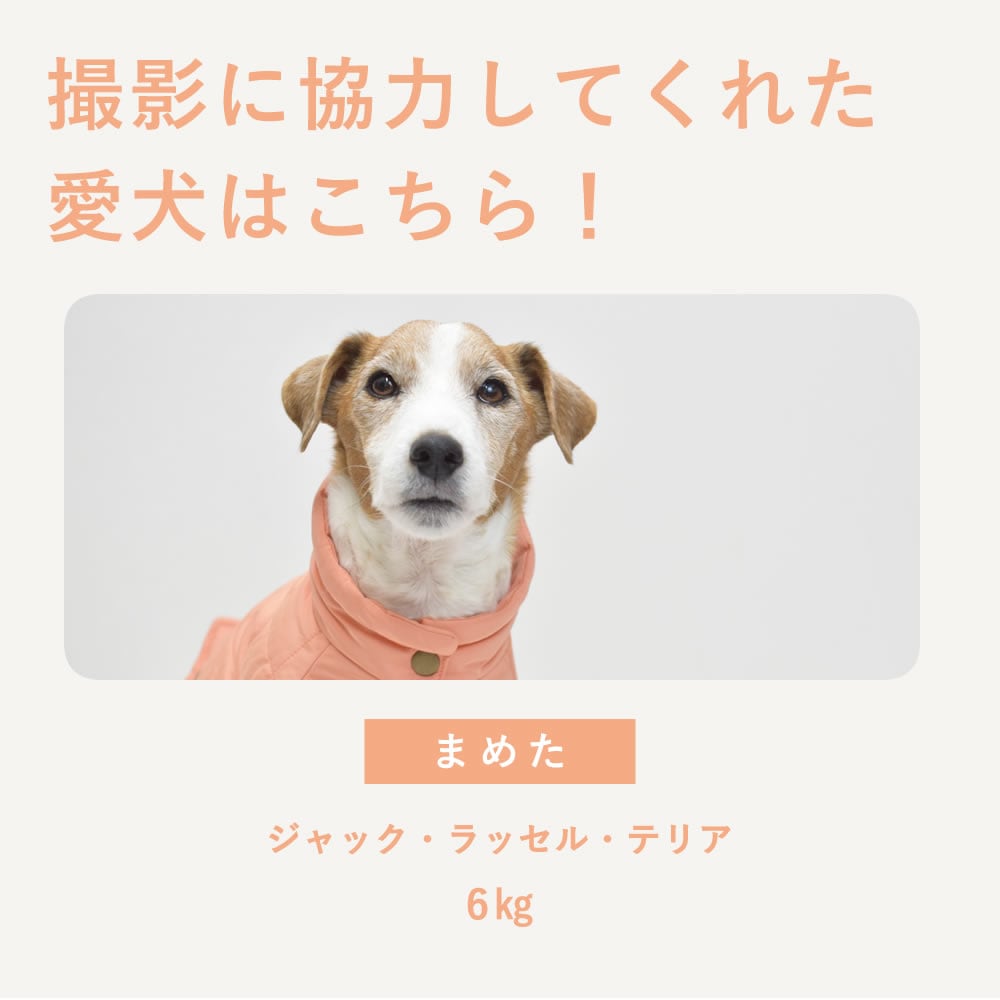 �� ���ѥ����� ����ù�̵�����ʥ���ȥϥ��ͥå� S/M/L������ �������ԥ� �ڥ��Υե�����