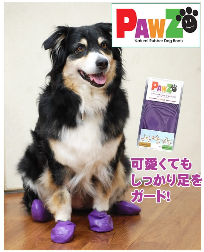 �����ݸ� ���ߤ���̤ˡ���С��֡��ġ�L���ѡ��ץ롡��12������ۥ쥤��֡���