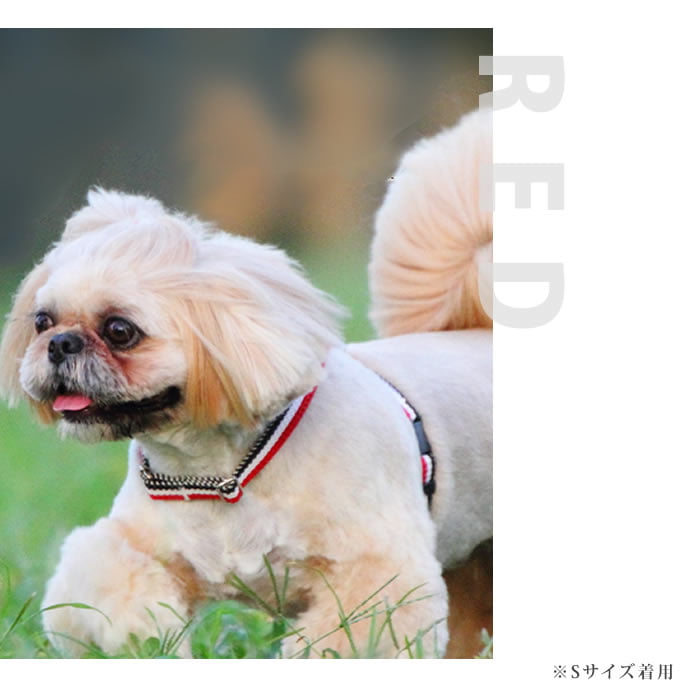 淿ѥϡͥASHUȥꥳ롡[ϡͥ]M