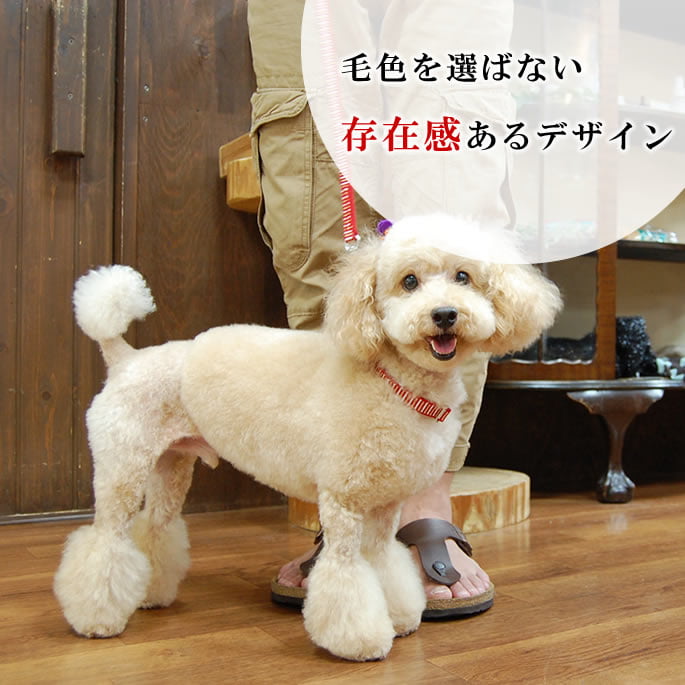 �������ѥϡ��ե��硼����ASHU��STEP�����ƥåס��ϡ��ե��硼����S������