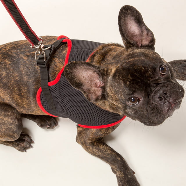 淿ѥ꡼ɡASHUϡͥ åѥ꡼ɡMڥϡͥ