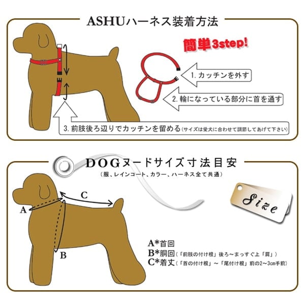 淿ѥϡͥASHUȥꥳ롡[ϡͥ]M