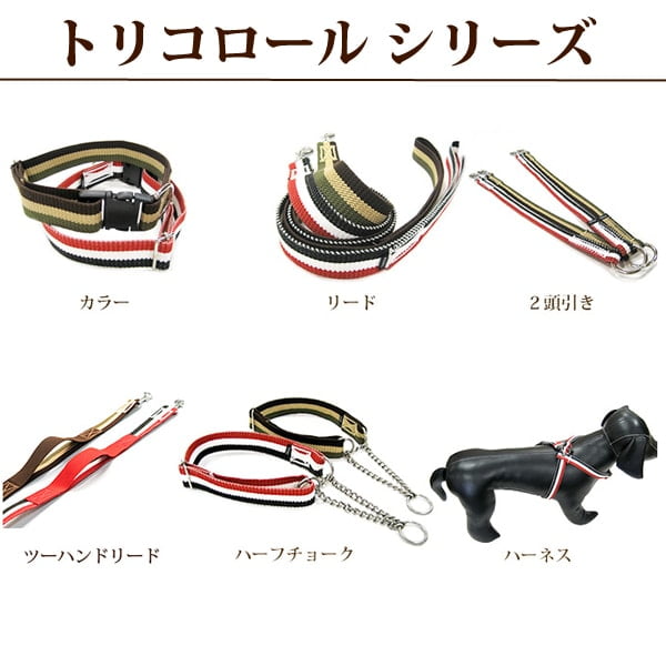 淿ѥϡͥASHUȥꥳ롡[ϡͥ]M