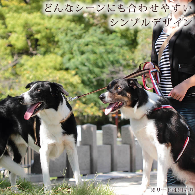 【rurumu:】ハーネス rurumu ハーネス