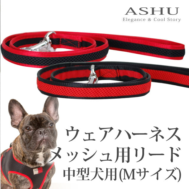 淿ѥ꡼ɡASHUϡͥ åѥ꡼ɡMڥϡͥ