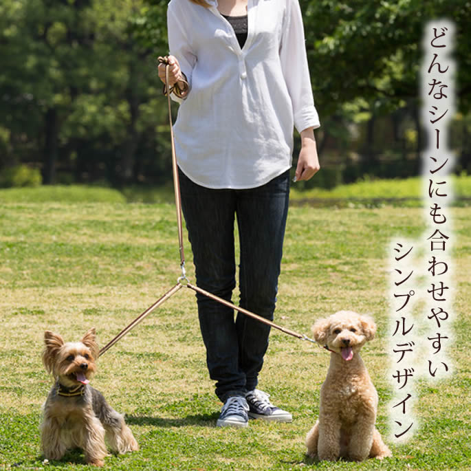 ¿ƬˡASHUȥꥳ롡Ƭ꡼