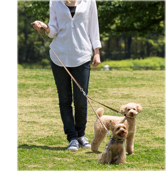 ¿ƬˡASHUȥꥳ롡Ƭ꡼