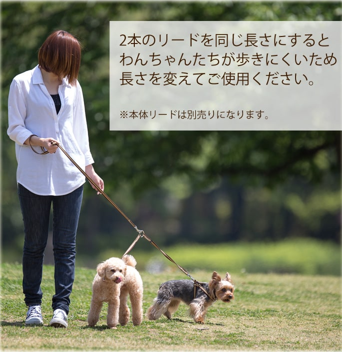 ¿ƬˡASHUȥꥳ롡Ƭ꡼