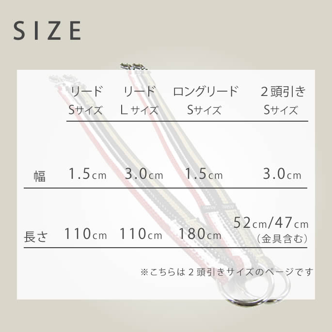 ¿ƬˡASHUȥꥳ롡Ƭ꡼