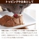 ǭ�� FORZA10 �����ƥ������å� ��ʡ��� ���ʿ�¡��100g �ѥƥ����� ��¡�ѿ�����ˡ����������ܿ�