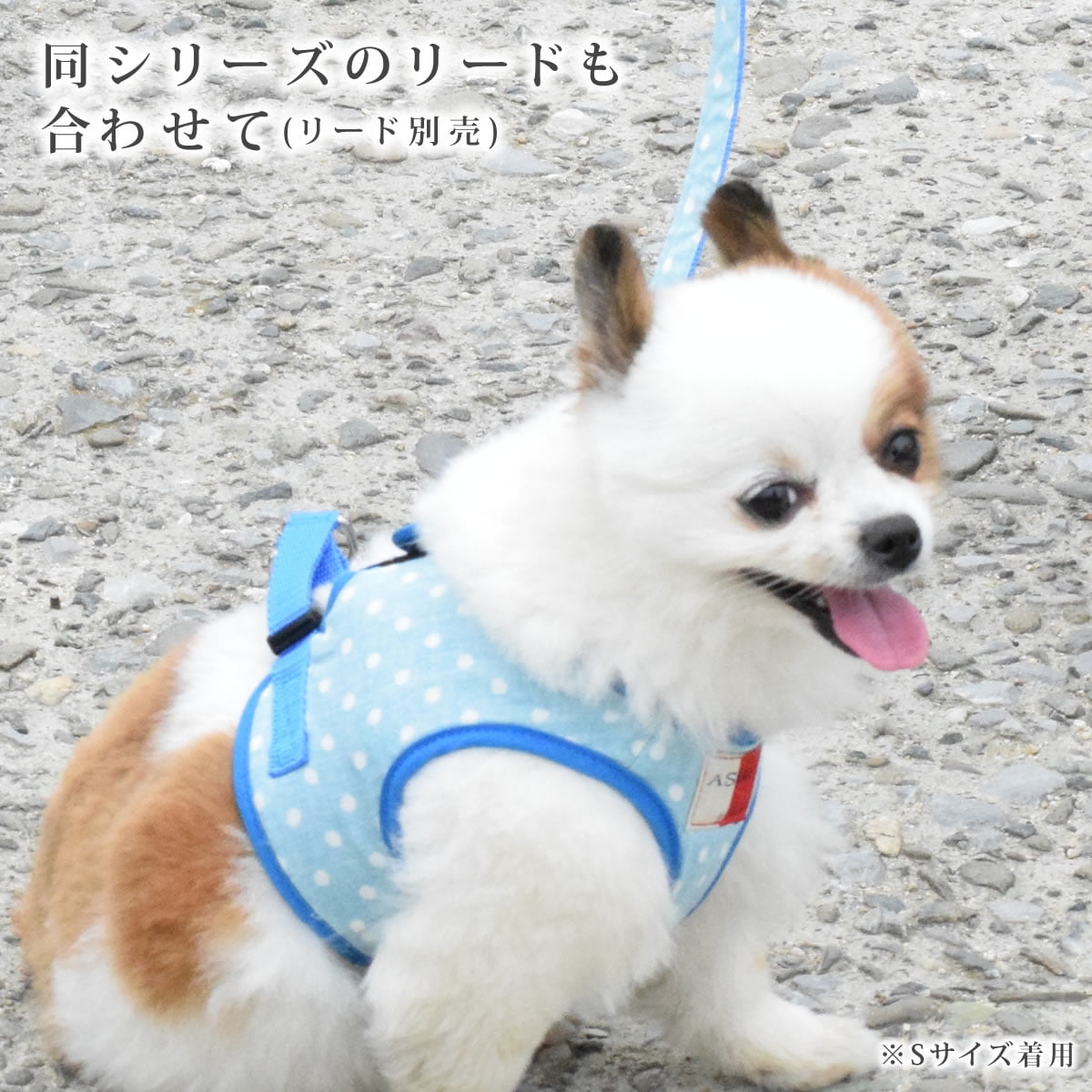 ASHUウェアハーネス 水玉 Lサイズ(中型犬用)