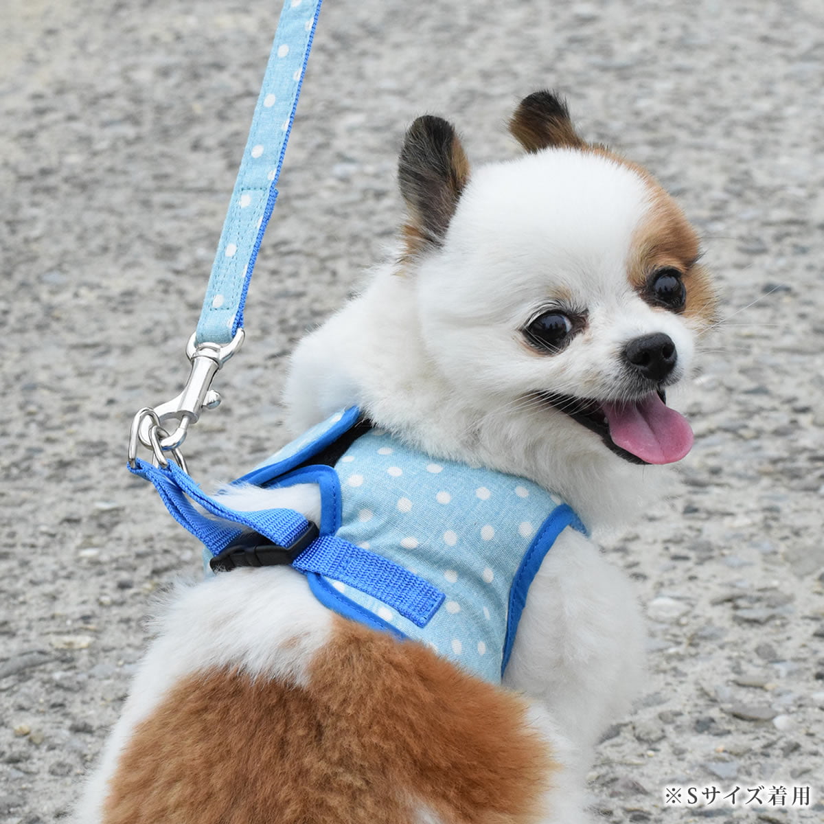 ASHUウェアハーネス 水玉 Lサイズ(中型犬用)