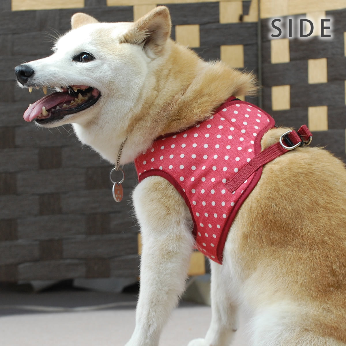 大型犬用ハーネス 赤と白の水玉模様 大型犬用ハーネス 赤と白の水玉模様