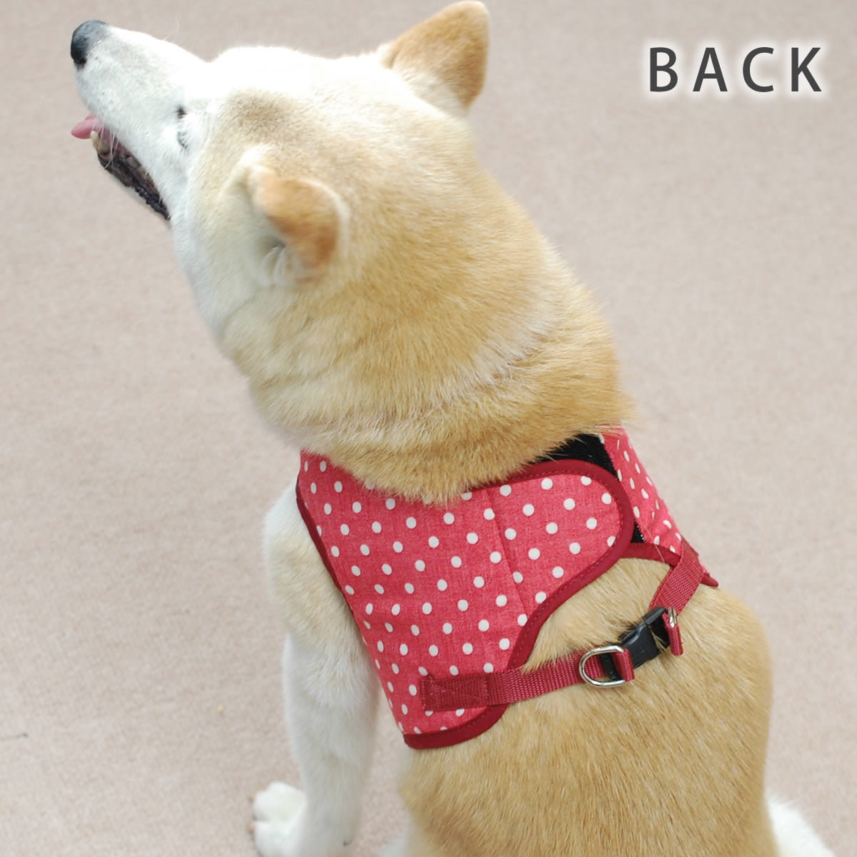 大型犬用ハーネス 赤と白の水玉模様 ASHUウェアハーネス 水玉 Lサイズ(中型犬用)