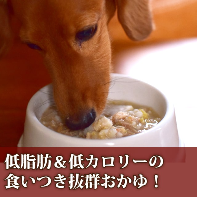 ΰ¿ȥȤϤ 㥫꡼ΰ򤬤 100g1/12/30