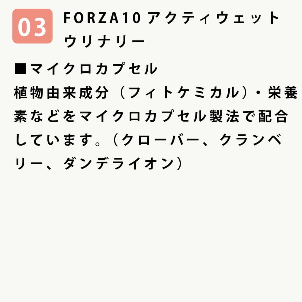 ѡȥХȷˡåȥաɥå /˥1̤ǤǤޤ