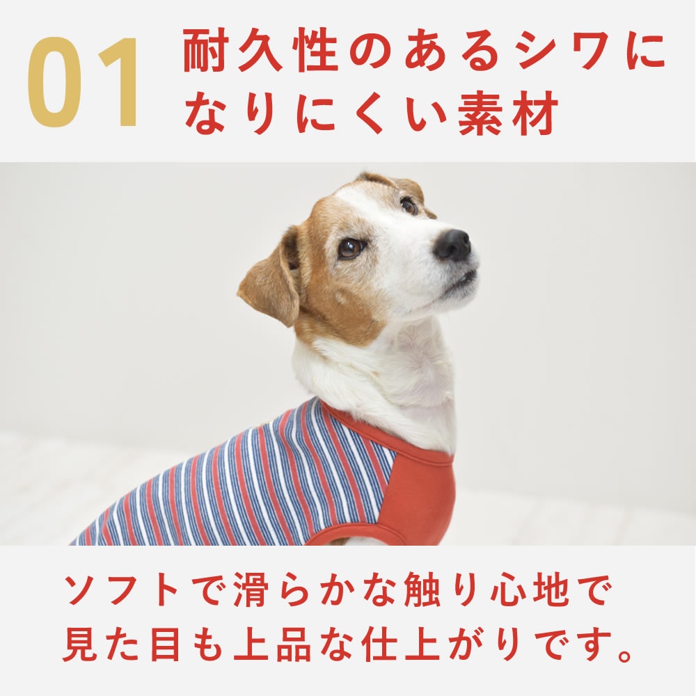 �� ���ѥ����� ���ä����ܡ����������ɽ�T����� S/M/L/2L/3L������ ����� �ڥ��Υե�����