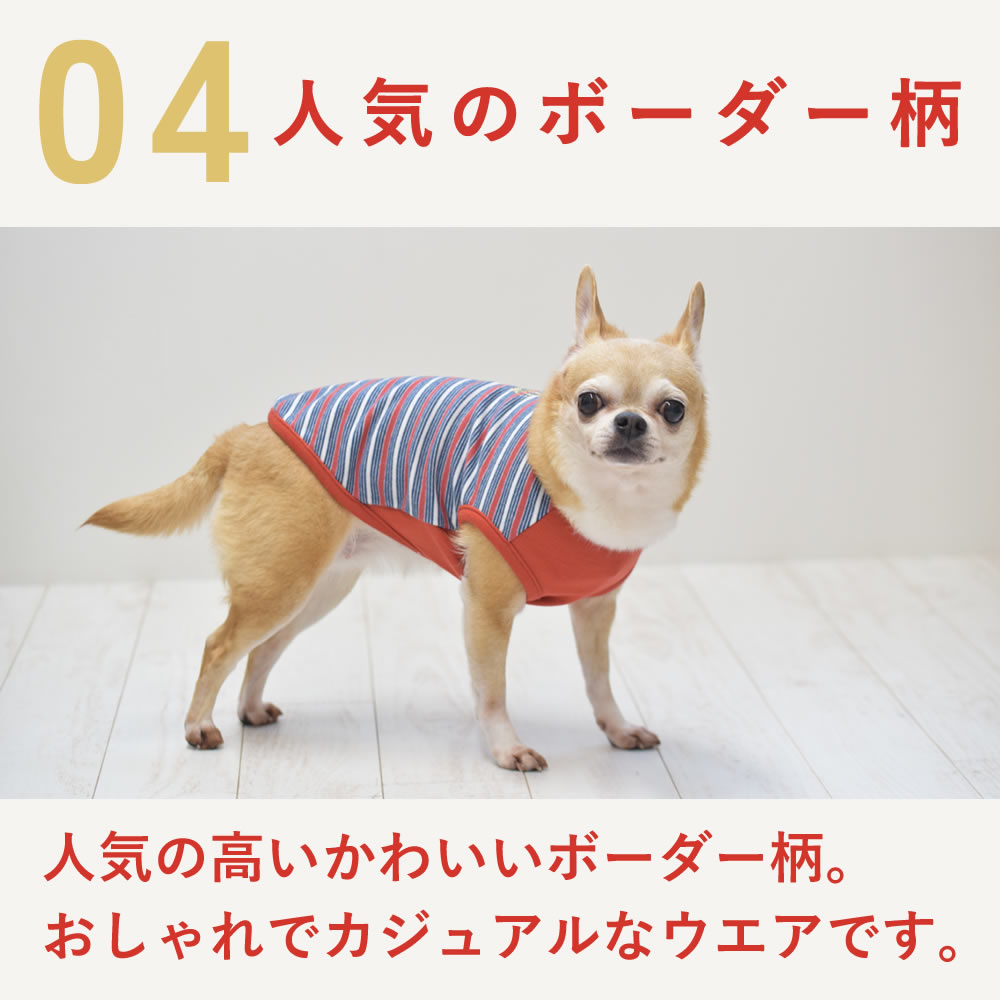 �� ���ѥ����� ���ä����ܡ����������ɽ�T����� S/M/L/2L/3L������ ����� �ڥ��Υե�����