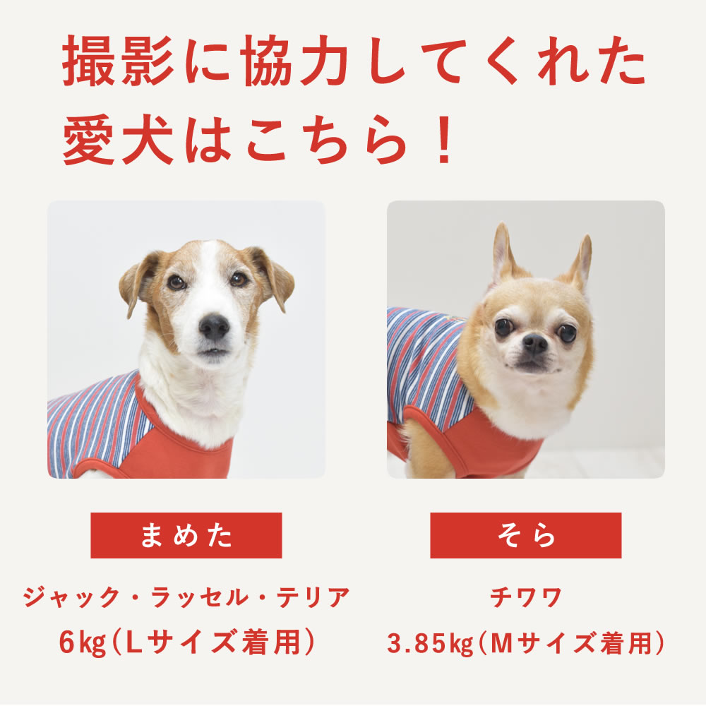 �� ���ѥ����� ���ä����ܡ����������ɽ�T����� S/M/L/2L/3L������ ����� �ڥ��Υե�����