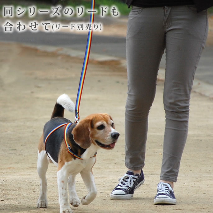 中型犬用ハーネス｜ASHU RAINBOW レインボー ハーネス Mサイズ