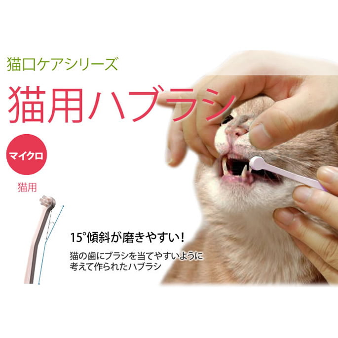 ǭ���������ޥ������إåɻ��֥饷��ǭ��