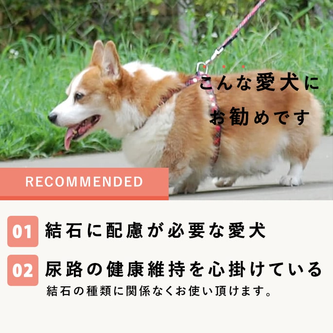 ˡåʥϡ٥ եå1[1.1kg]ڽ̵