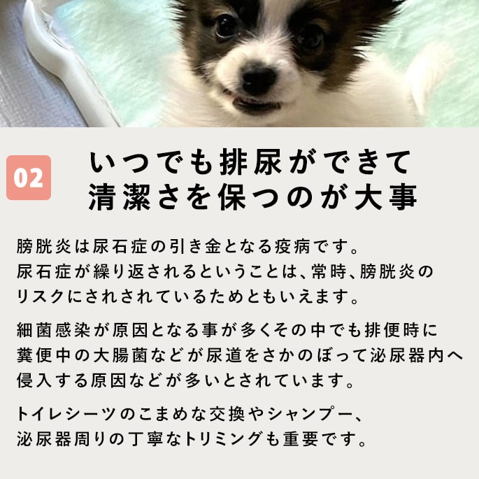 ˡåʥϡ٥ եå1[1.1kg]ڽ̵