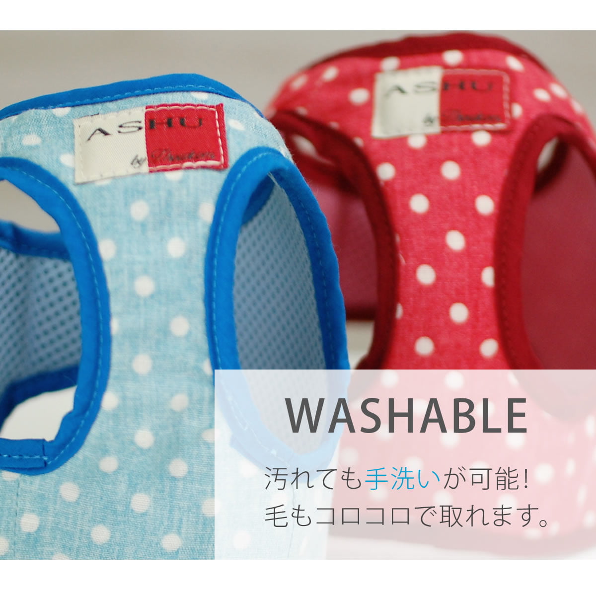 ASHUϡͥ  LL(淿)ڥ꡼ɤ