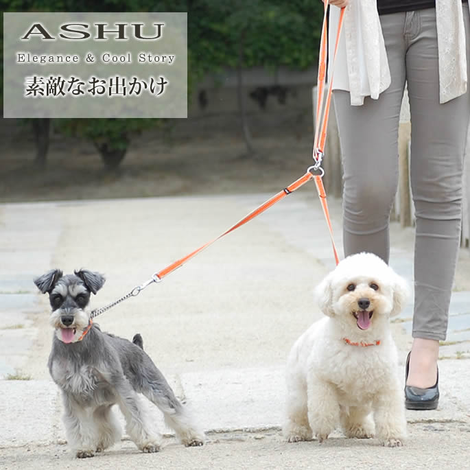 �����淿���ѡ�ASHU��D�����դ� ���饤��W���꡼�� 2Ƭ���� ���å�