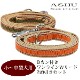 �����淿���ѡ�ASHU��D�����դ� ���饤��W���꡼�� 2Ƭ���� ���å�