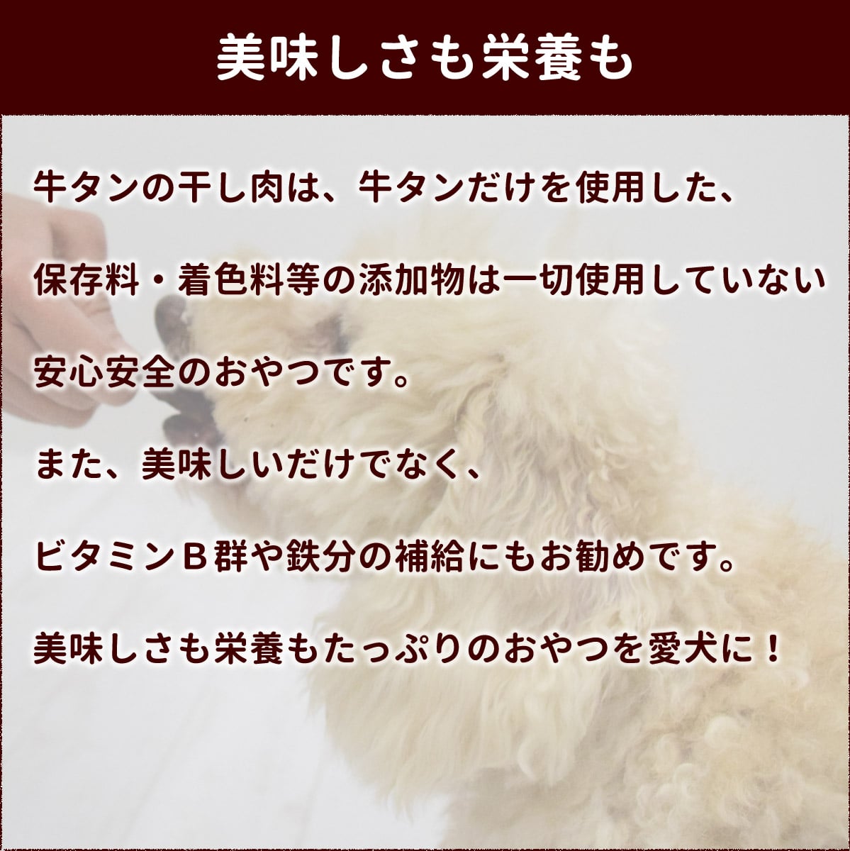 ����ǭ�ѥ��㡼����  ������δ�������5�ޥ��å�  �¿���̵ź�ä���� �������̤�40�碪35����ѹ��ˤʤ�ޤ���