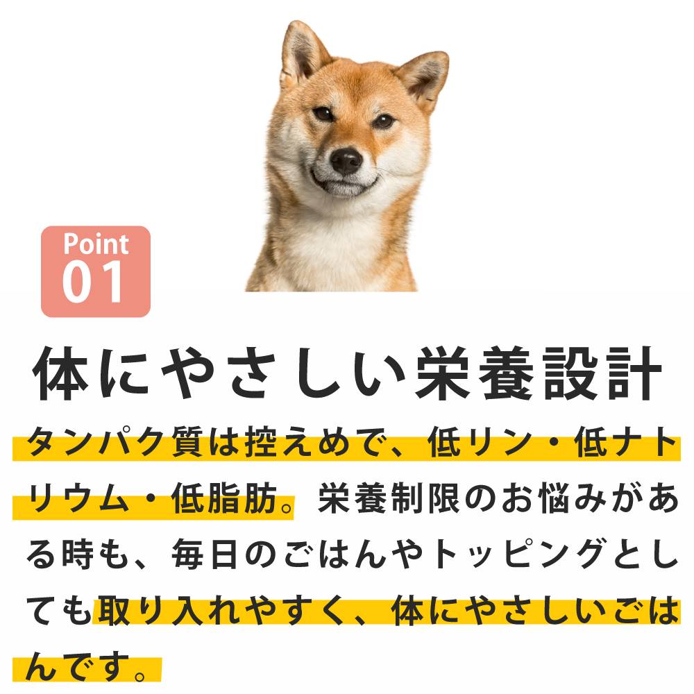 ������ �������Ϥ� ����ܿ椭����/������ᤷ 1��/5�ޥ��å�  ������������ �ϥ���ɥ��࿩Ʋ