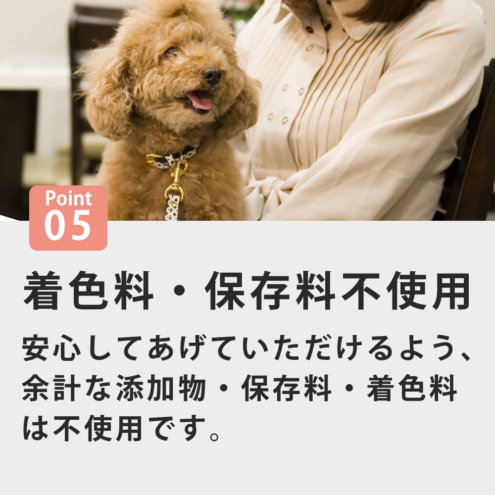 ������ �������Ϥ� ����ܿ椭����/������ᤷ 1��/5�ޥ��å�  ������������ �ϥ���ɥ��࿩Ʋ