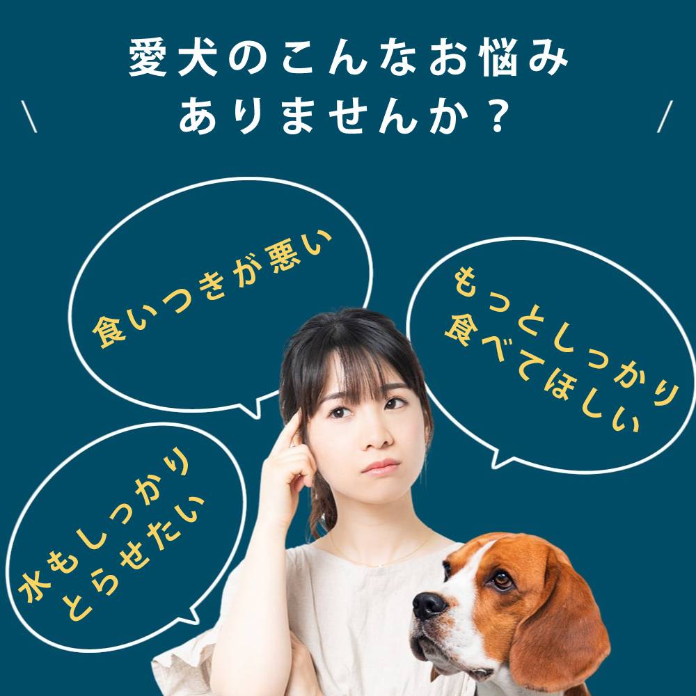 ������ �������Ϥ� ����ܿ椭����/������ᤷ 1��/5�ޥ��å�  ������������ �ϥ���ɥ��࿩Ʋ