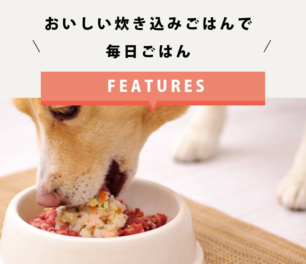 ������ �������Ϥ� ����ܿ椭����/������ᤷ 1��/5�ޥ��å�  ������������ �ϥ���ɥ��࿩Ʋ