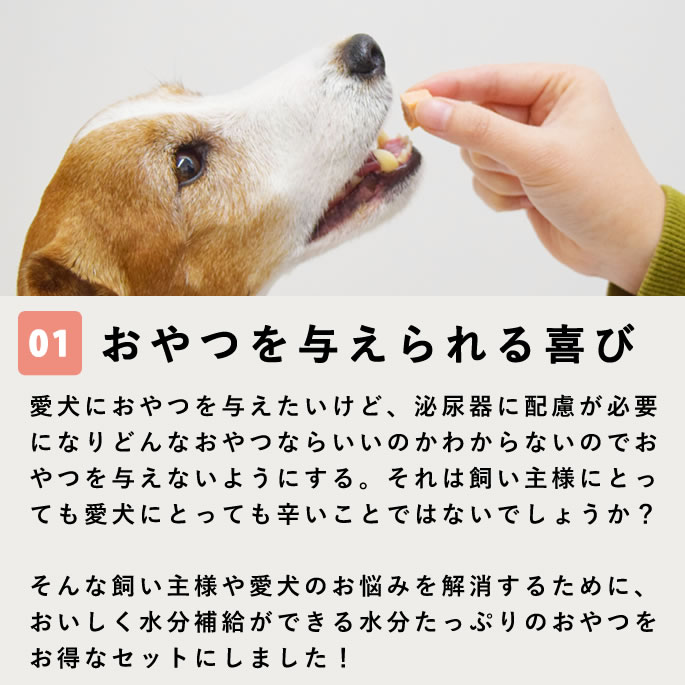 Ǣϩ��������ĥ��åȡڥϥ���ɥ��࿩Ʋ�ۡ������ء�