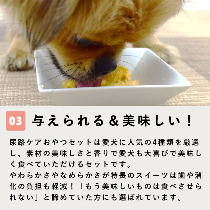 Ǣϩ��������ĥ��åȡڥϥ���ɥ��࿩Ʋ�ۡ������ء�