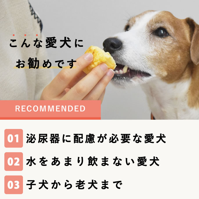 Ǣϩ��������ĥ��åȡڥϥ���ɥ��࿩Ʋ�ۡ������ء�