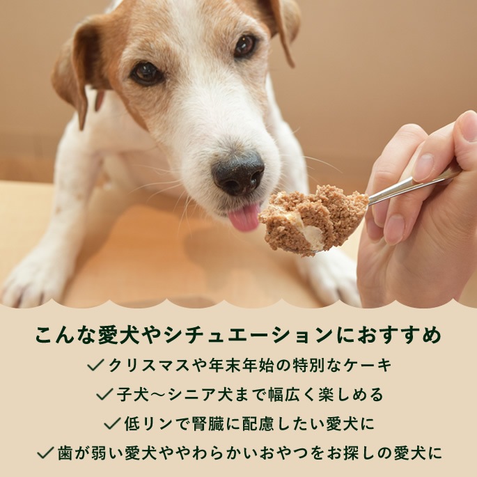 �ڿ��̸���۸��ѥ����� �ƥ���ߥ������åץ����� (��������饤��shop��������)