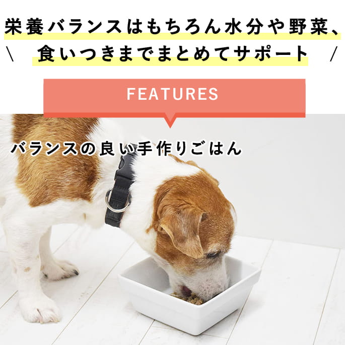 ��10�����ۤ��ޤ��դ��������� ������­���������ꥻ�åȡ�����Ǥ��Ϥ���