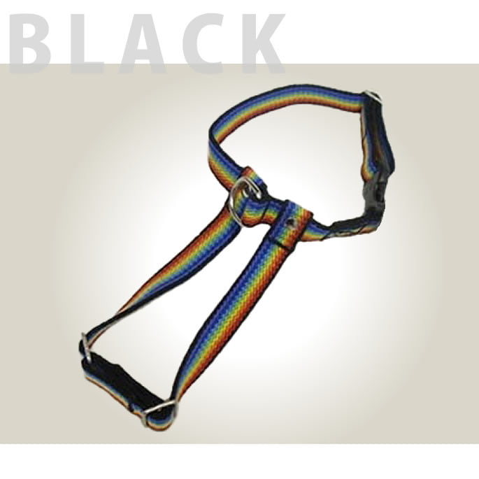 �������ѥϡ��ͥ���ASHU��RAINBOW���쥤��ܡ����ϡ��ͥ���S������