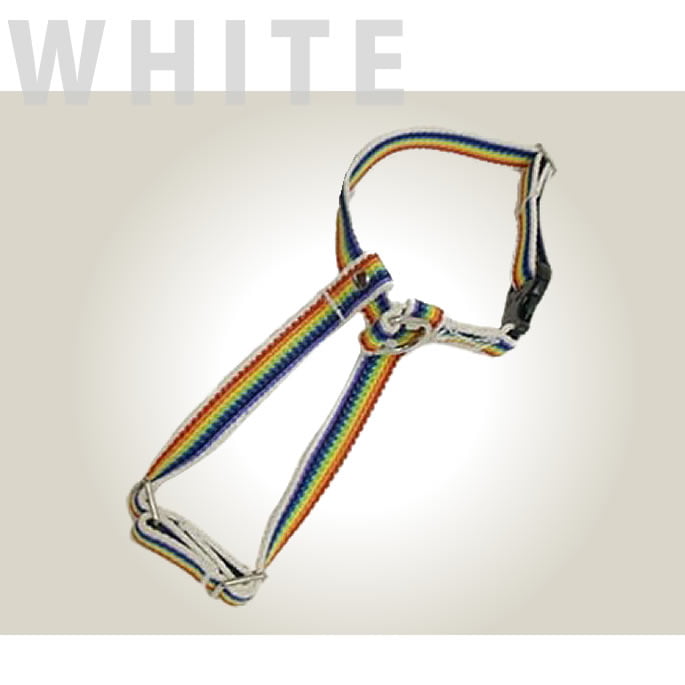 �������ѥϡ��ͥ���ASHU��RAINBOW���쥤��ܡ����ϡ��ͥ���S������