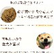 BONE եå塡1.1kgꡡ̵ ѥåȯ۹οʲաɡa0246