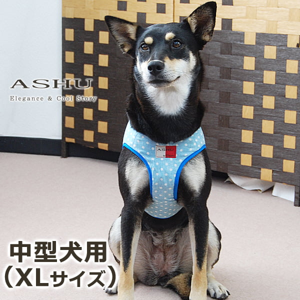ASHU�������ϡ��ͥ� ��� XL������(�淿����)�ڥ꡼�ɤ�������