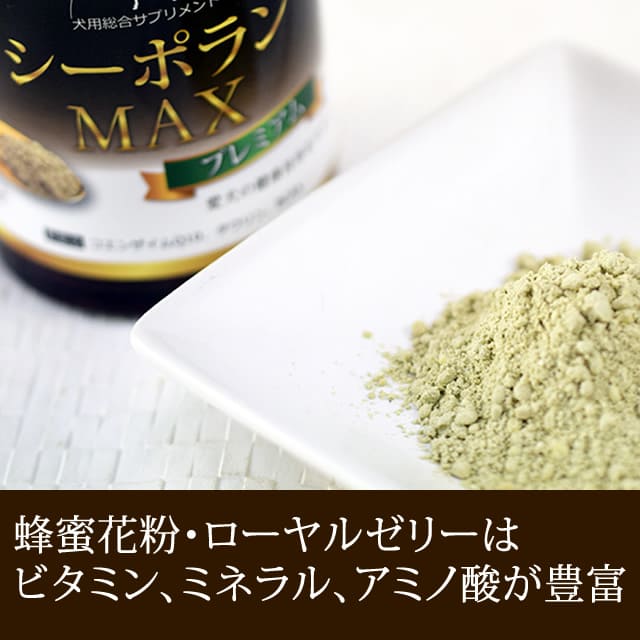 ݥޥåץߥࡡѥץȡܸ򹯥ݡȡa0374