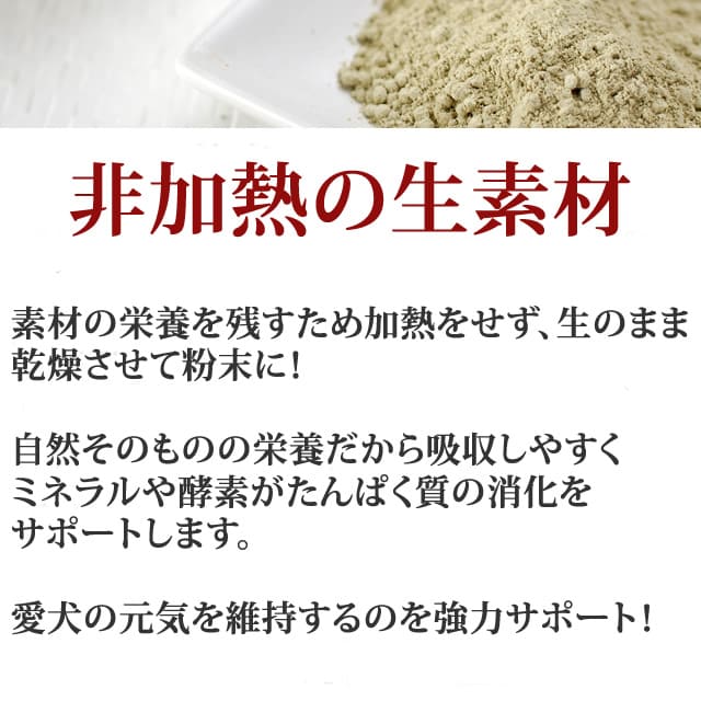 ݥޥåץߥࡡѥץȡܸ򹯥ݡȡa0374