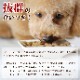 ������̵�������ޤ��դ��ۥȥ饤�ץɥ饤���ɥå��ա��ɡ�GL�٥˥���2.72kg2�ޡ����������Ǥ��ޤ���