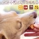 ���Ѥ���ġû������� �ҤȤ��������� 5�ޥ��å� �����